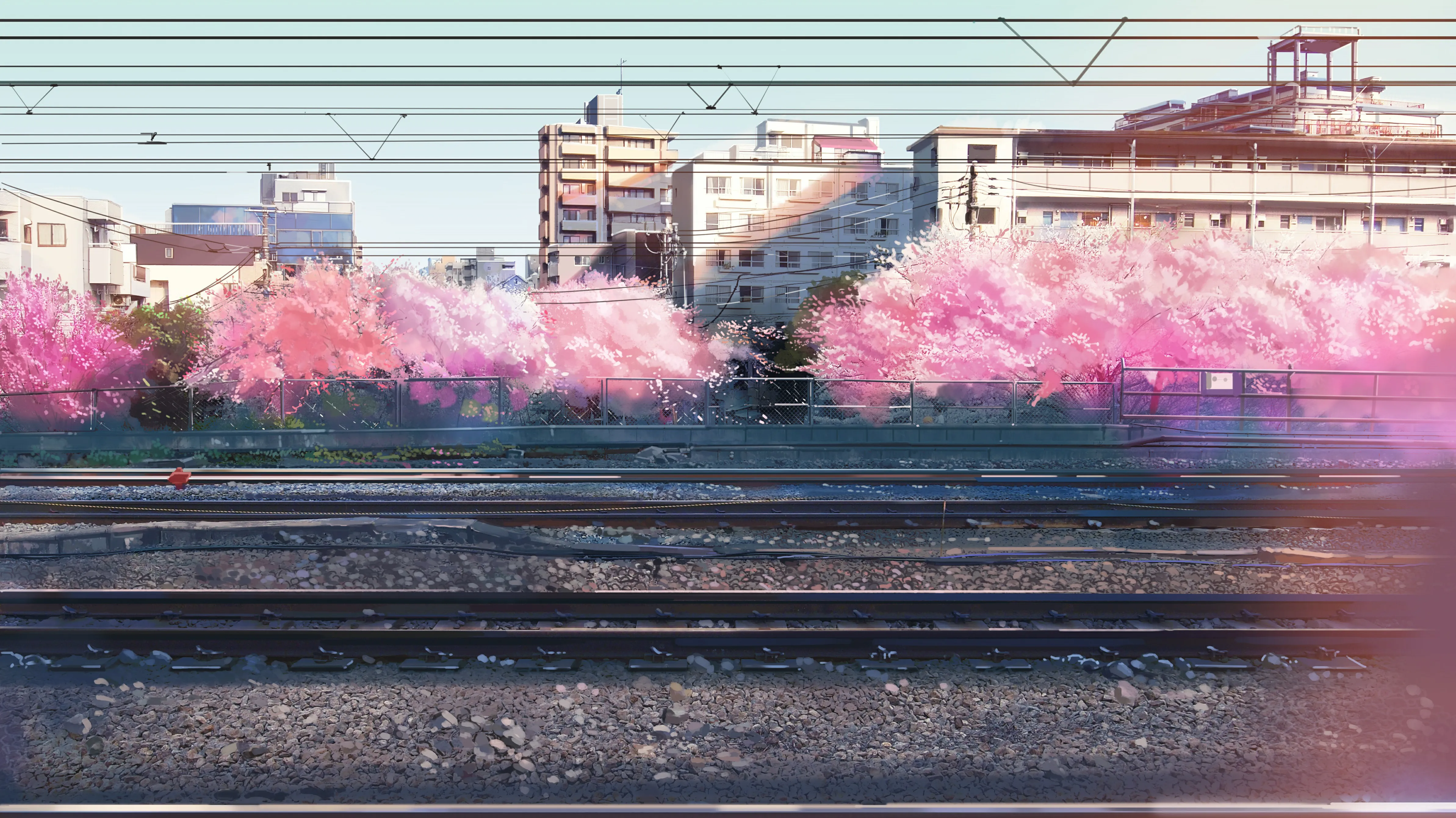 苹果Tiktok使用教程